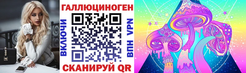 Галлюциногенные грибы Psilocybe  Соликамск 