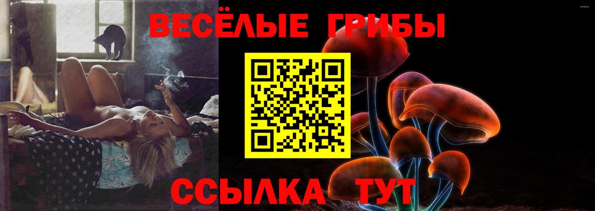 Галлюциногенные грибы Psilocybe  Псилоцибиновые грибы GOLDEN TEACHER  Вход с VPN  купить закладку  Соликамск 